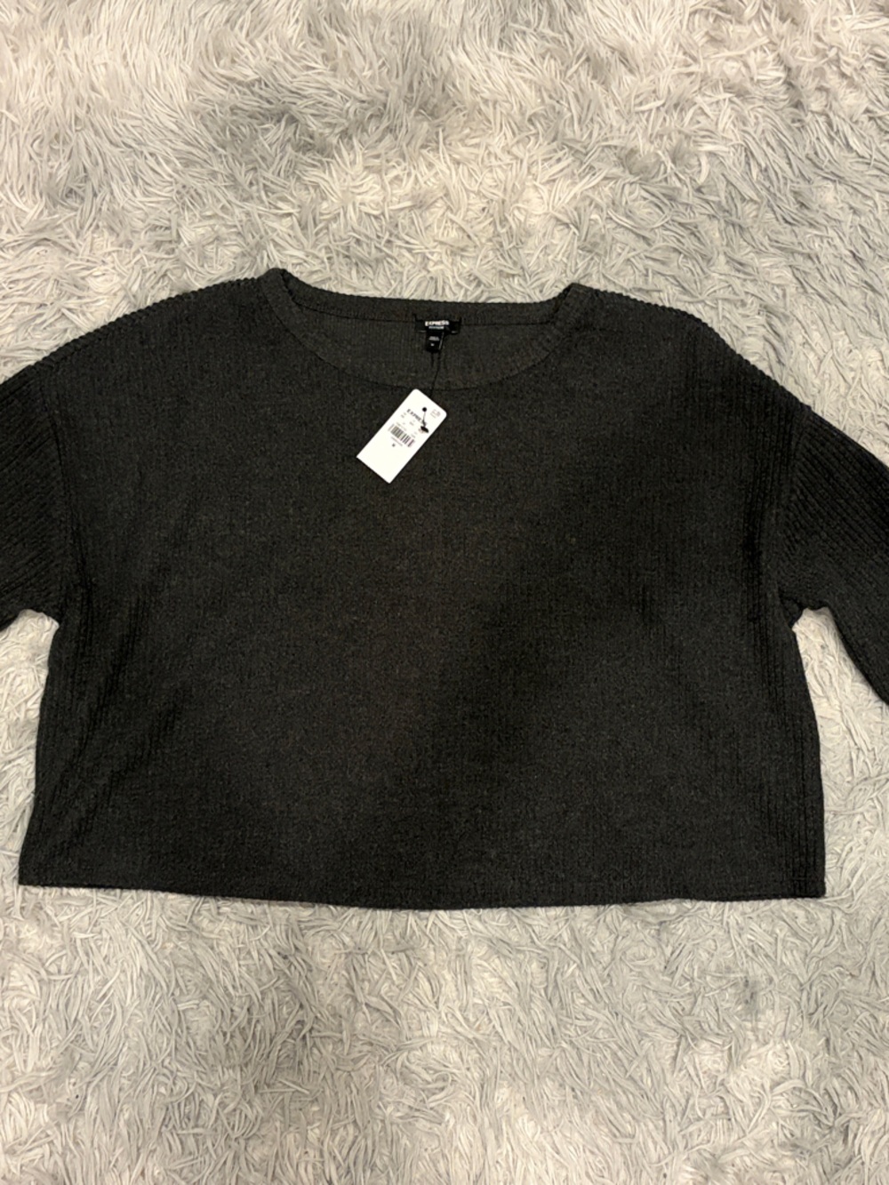 NWT Express Gray Cropped Crewneck Sweater - Women's